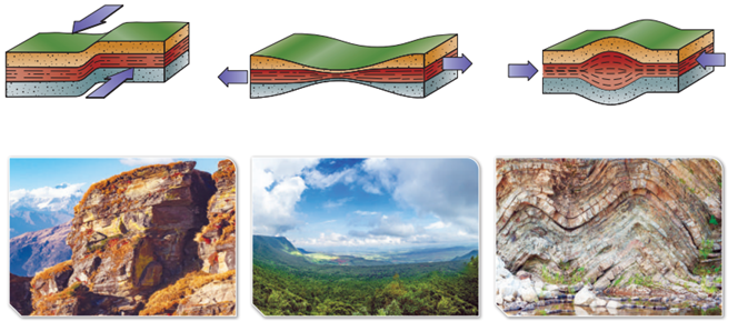 أنواع الإجهاد