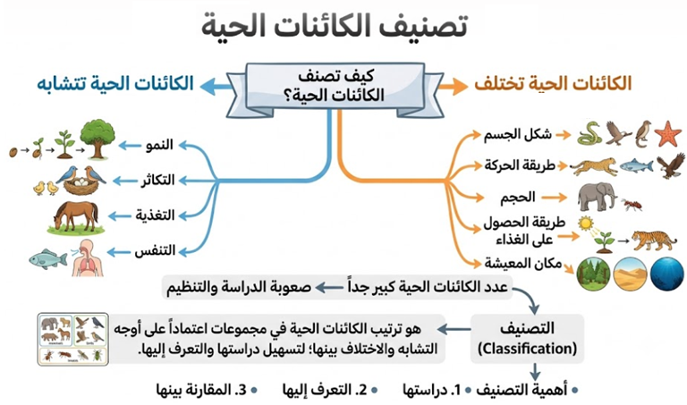 كيف تصنف الكائنات الحية؟ كيف تصنف الكائنات الحية؟