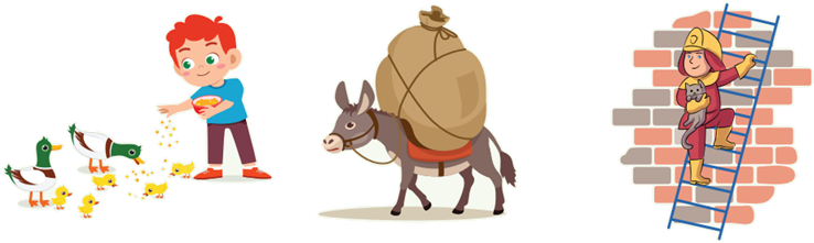 صور الرفق بالحيوان صور الرفق بالحيوان