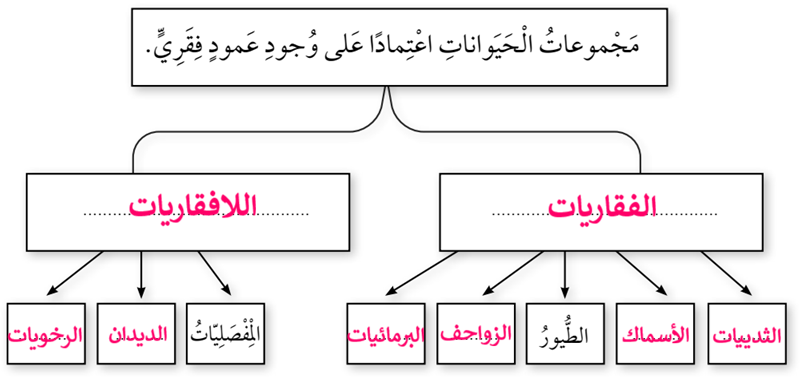 تصنيف الكائنات الحية إلى فقاريات ولافقاريات تصنيف الكائنات الحية إلى فقاريات ولافقاريات
