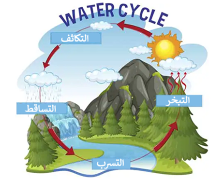 دورة المياه في الطبيعة.