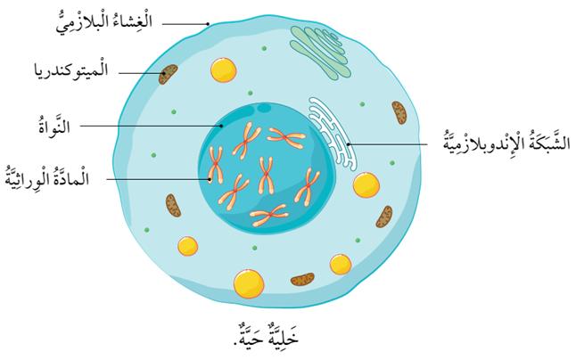 مكونات الخلية مكونات الخلية