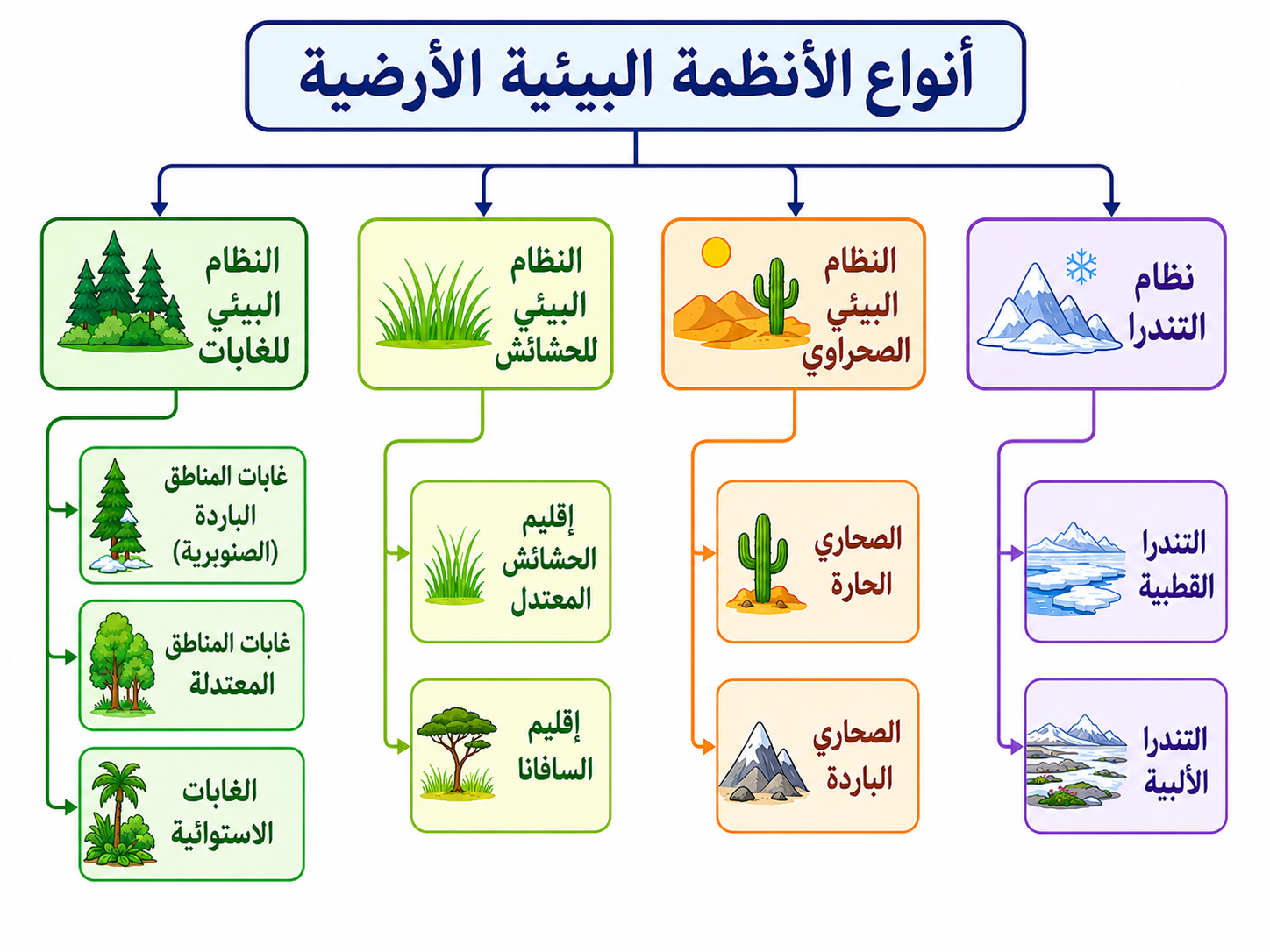 الأنظمة البيئية الأرضية الأنظمة البيئية الأرضية