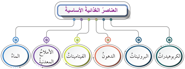 العناصر الغذائية الأساسية