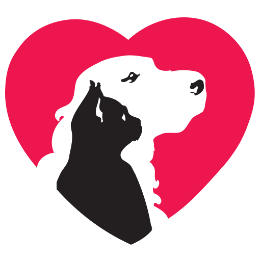 الرحمة بالحيوان الرحمة بالحيوان