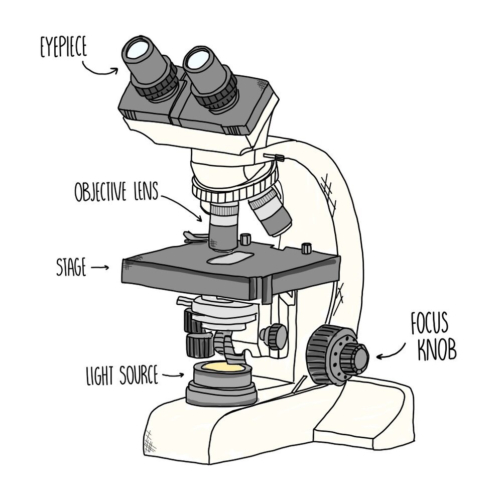 Microscope Microscope